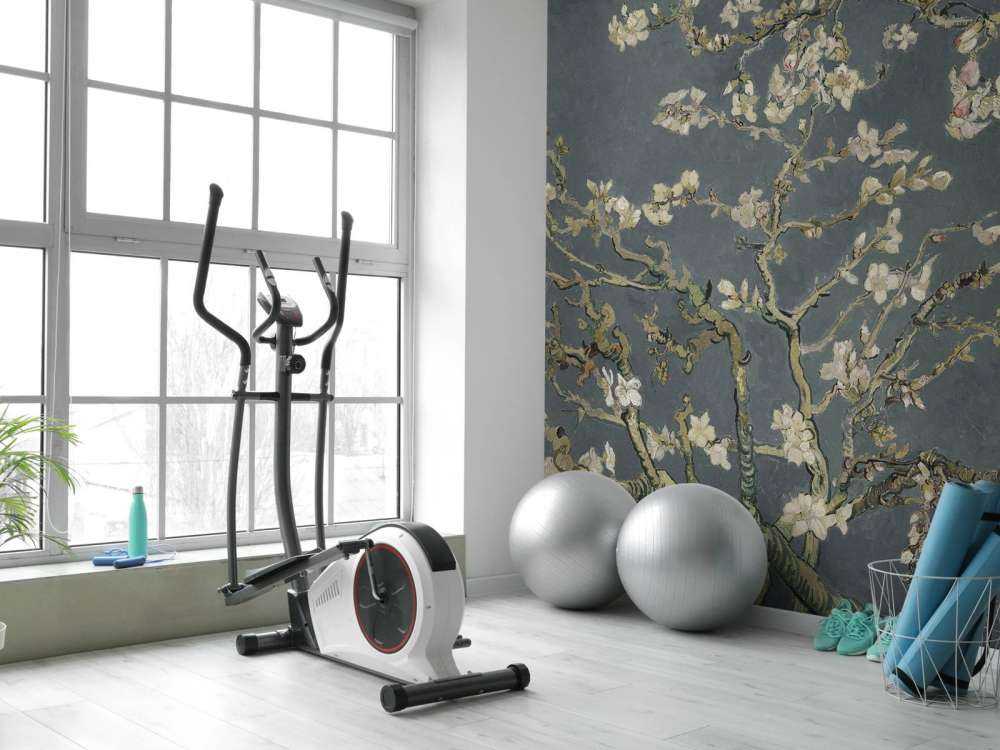 Blühende Mandel blüte