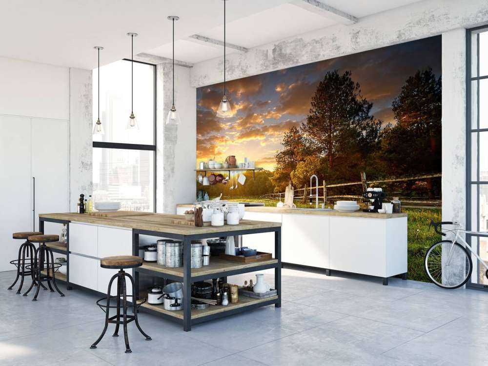 Weide mit Sonnenuntergang