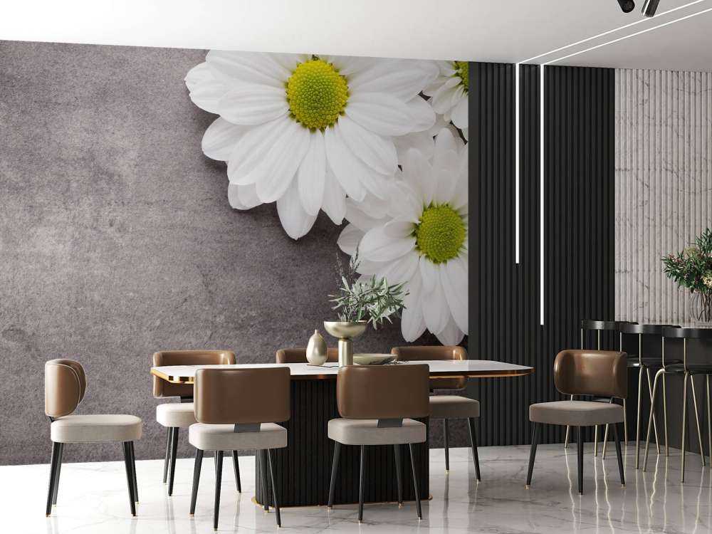 Gänseblümchen und Beton