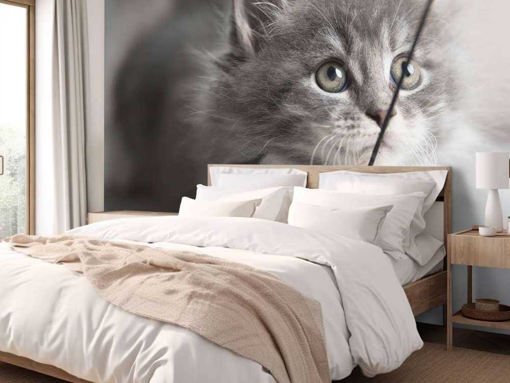 Spielende Katze