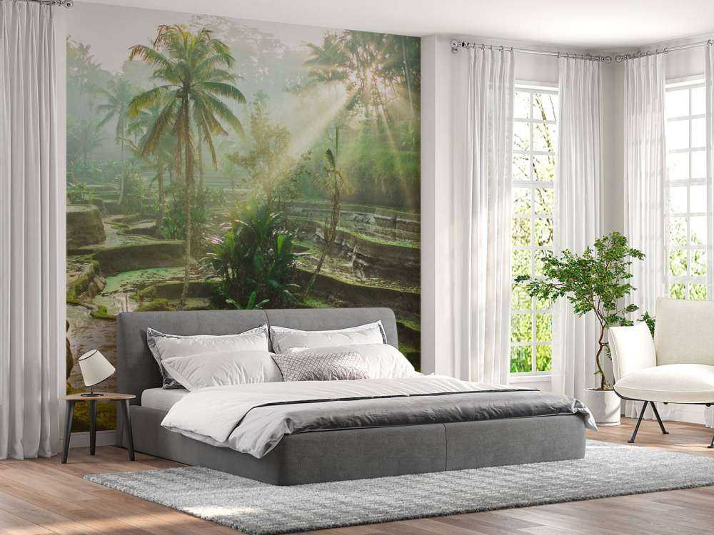 Reisfelder im Dschungel