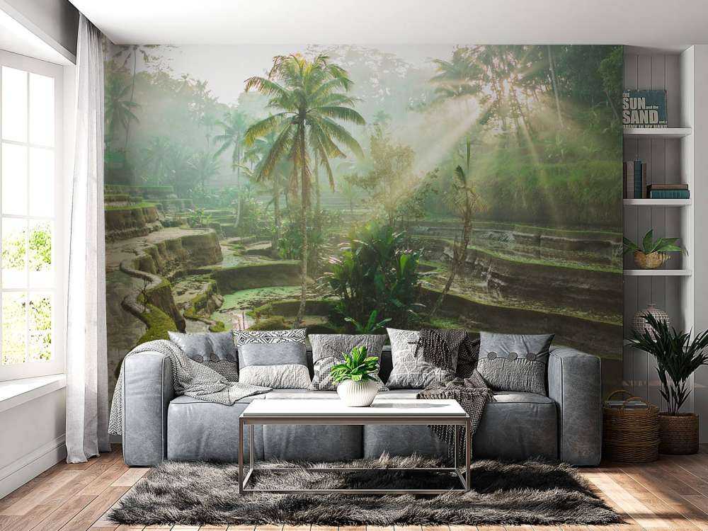 Reisfelder im Dschungel