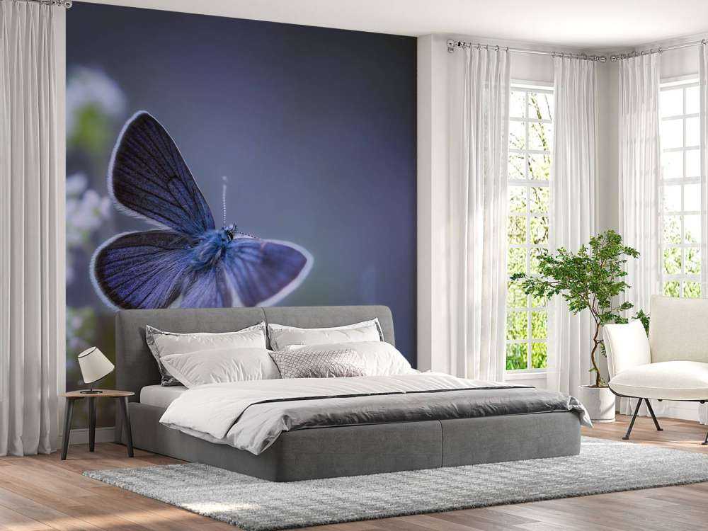 Blauer Schmetterling