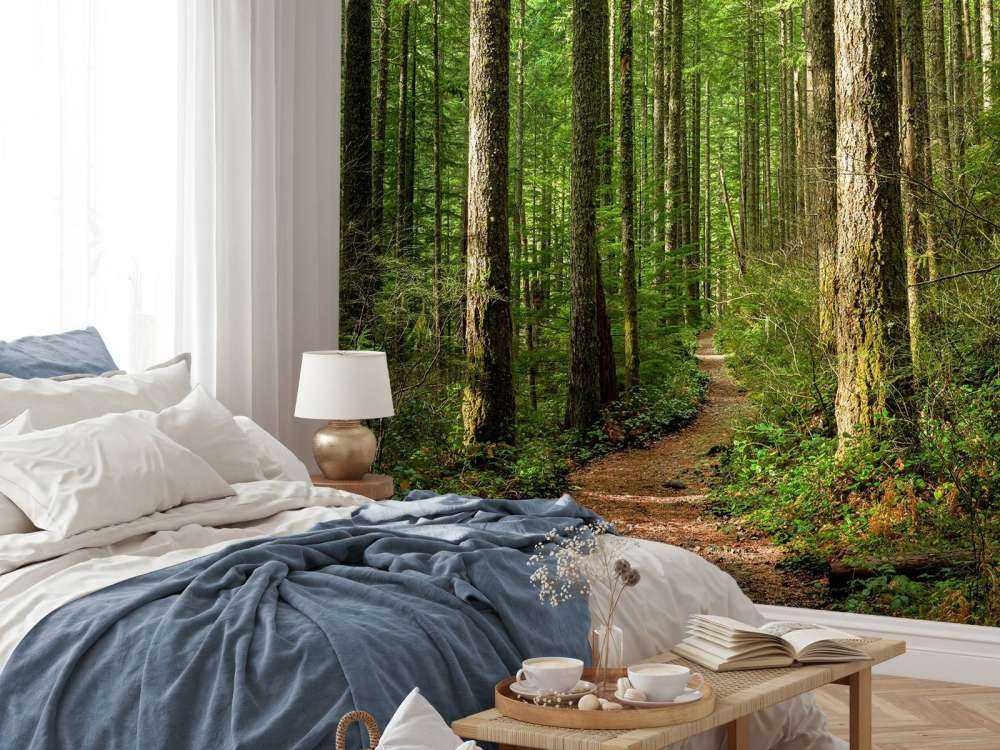Pfad im Wald