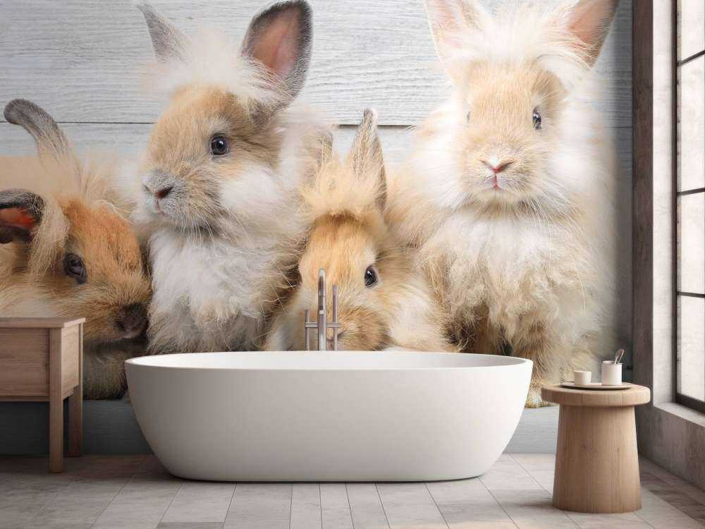 Kleine Häschen