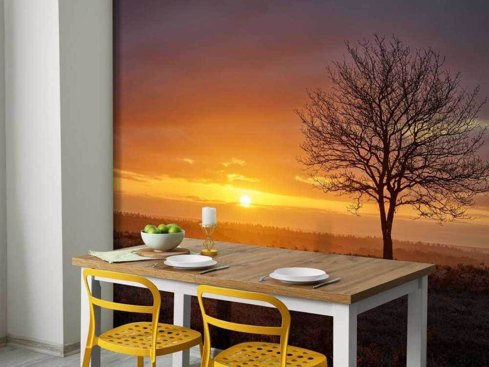 Farbenfroher Sonnenaufgang in der Heide