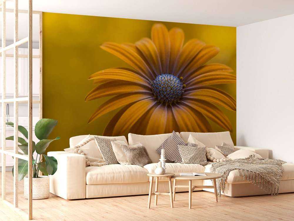 Sunshine Daisy