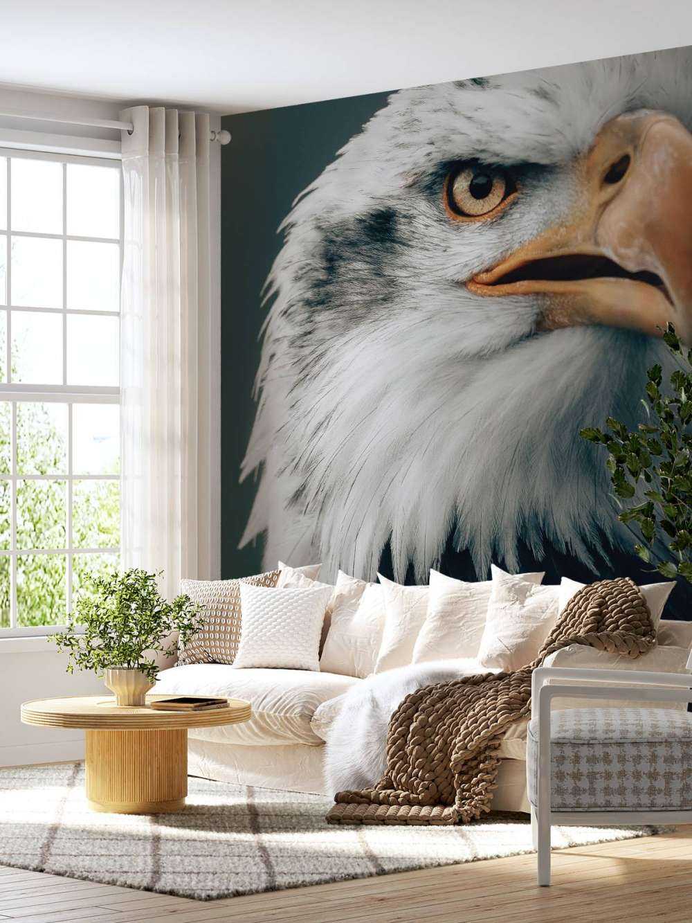 Schauender Seeadler