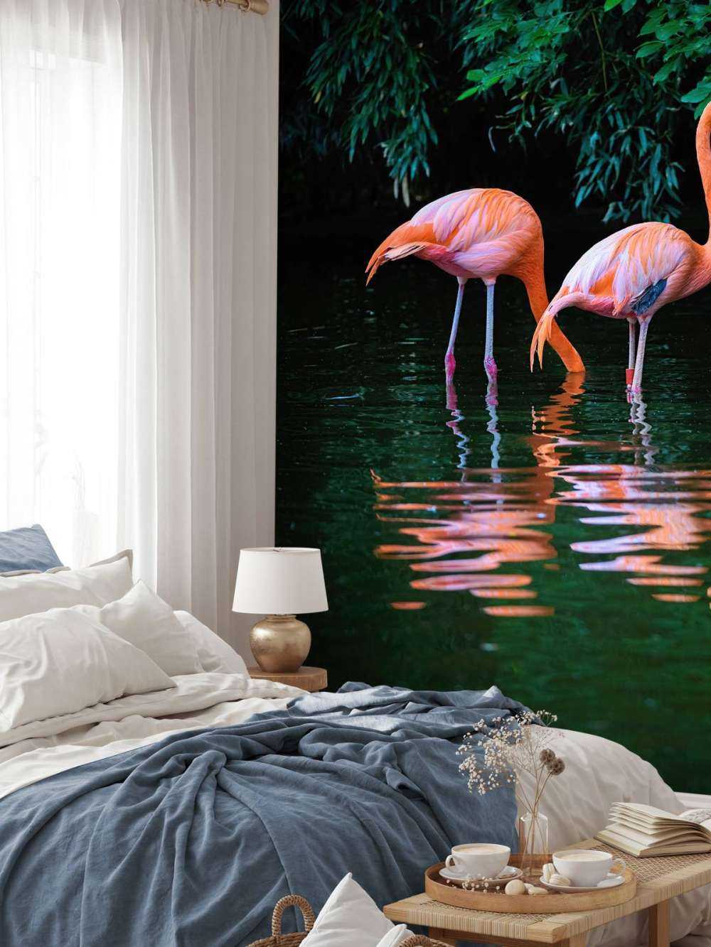 Karibische Flamingos