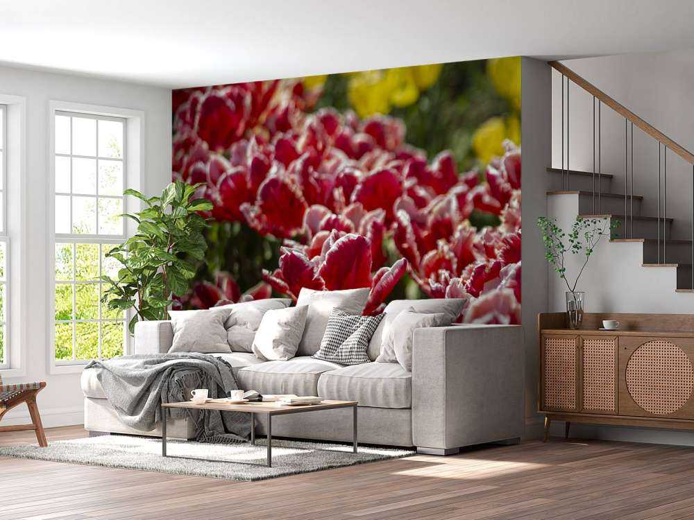 Rote Tulpen