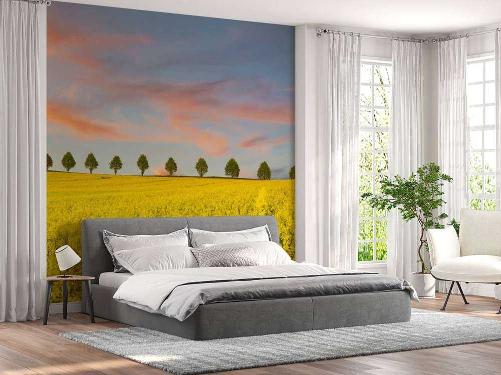 Feld voller gelber Blumen