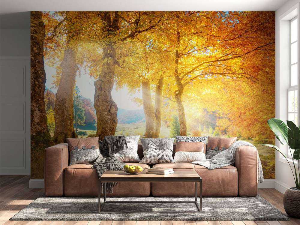 Warme Herbstlandschaft