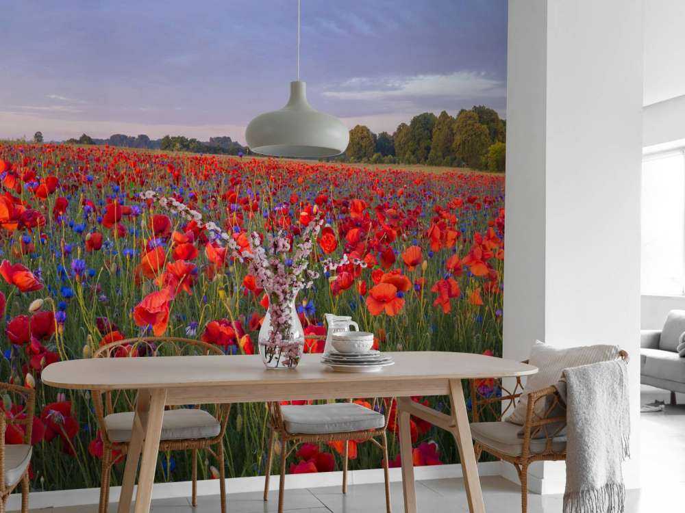 Blaue Blumen und rote Mohnblumen