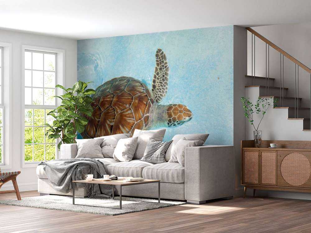 Schildkröte im Wasser
