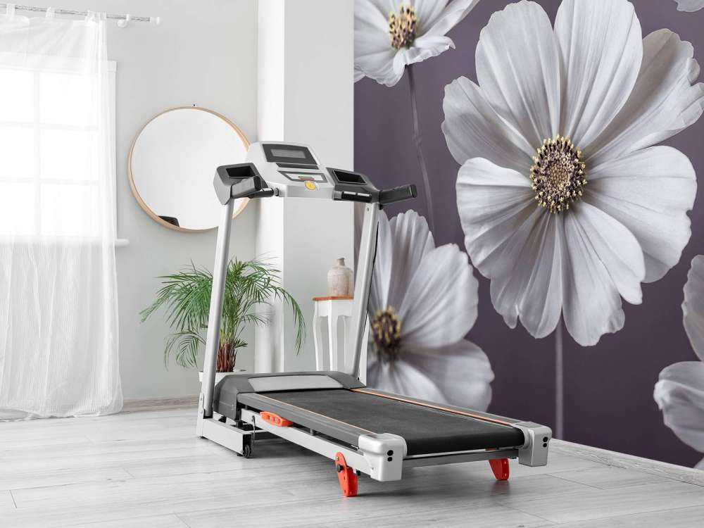 Kosmos Blumen