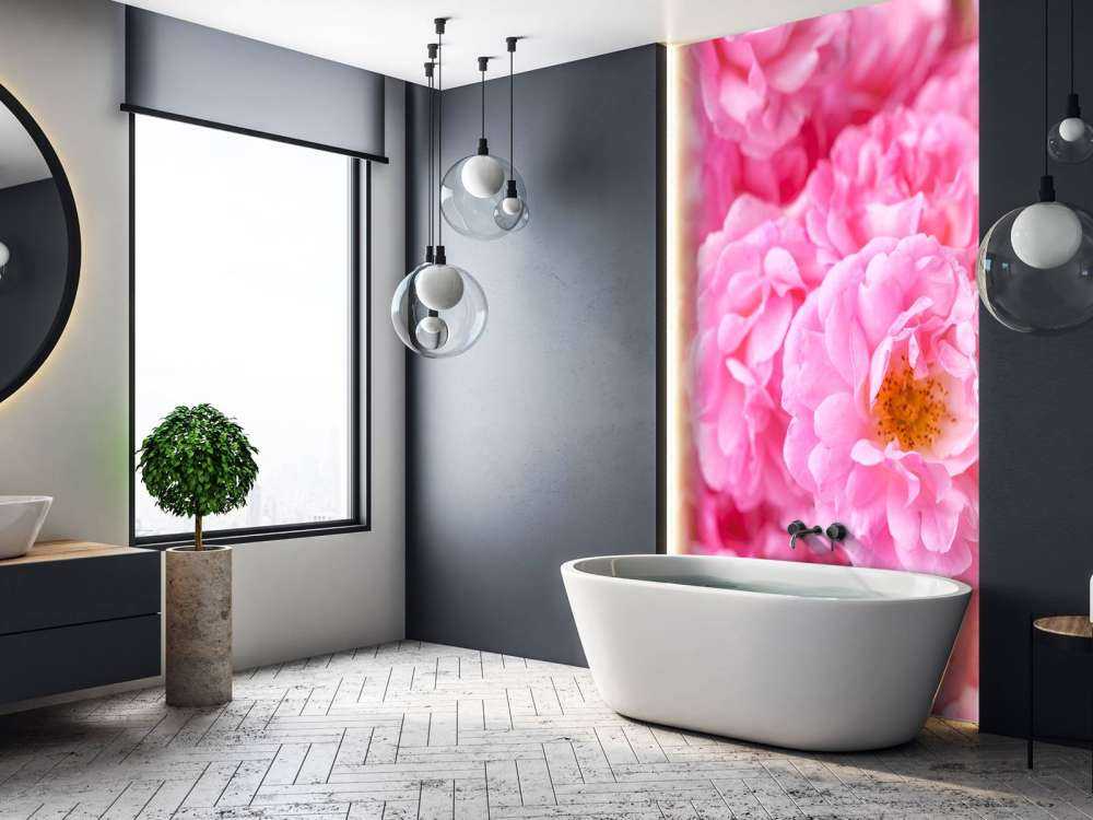 Mehrere rosa Rosen