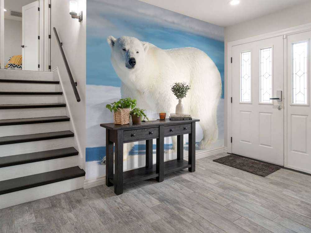Eisbär