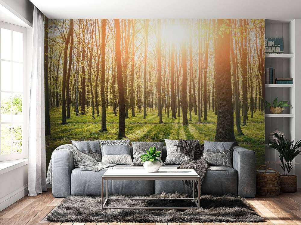 Sonnenstrahlen im Wald