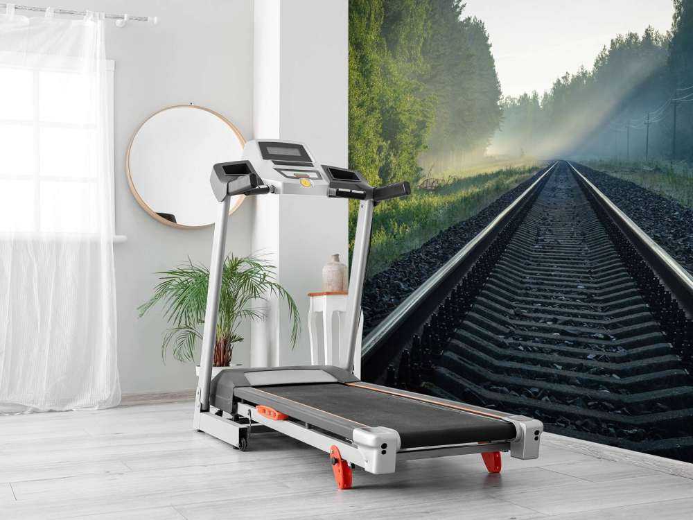 Eisenbahnschienen durch den Wald