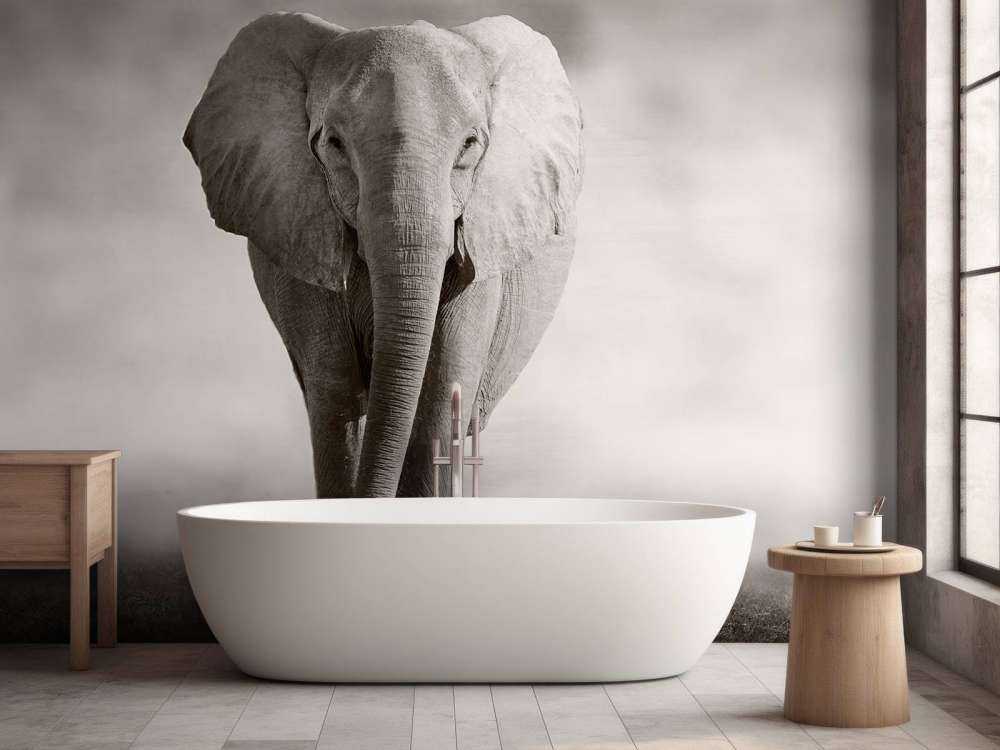 Schöner Elefant