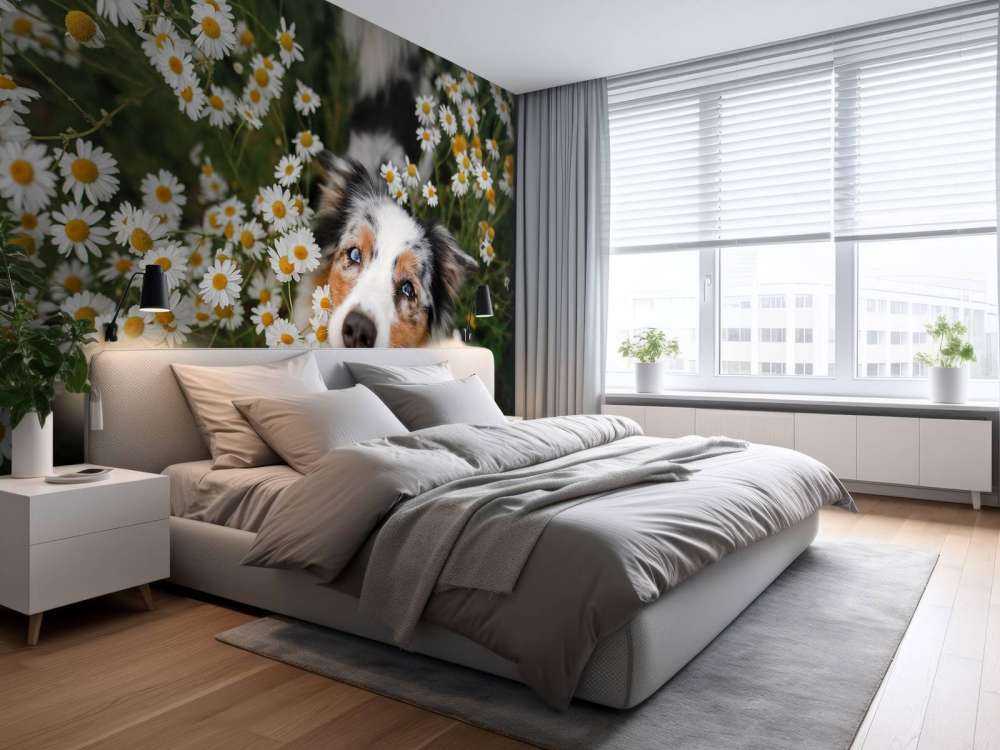 Australischer Schäferhund unter Blumen