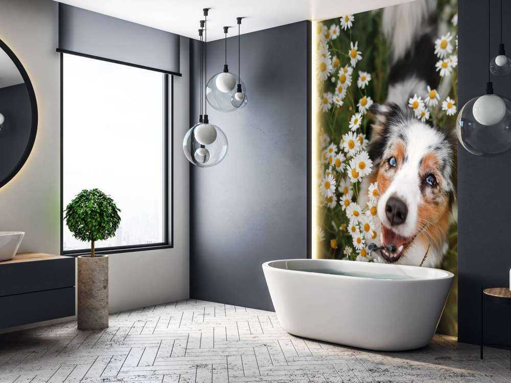 Australischer Schäferhund unter Blumen