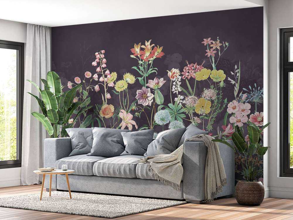 Primula 12