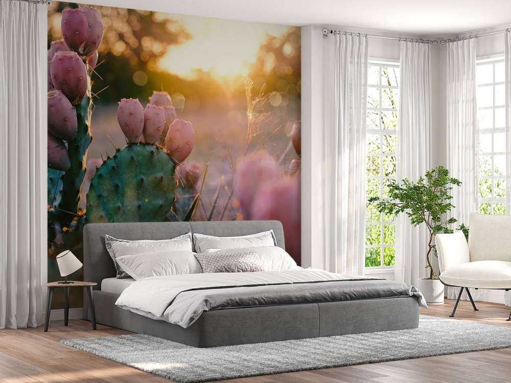 Kaktus mit Blüten