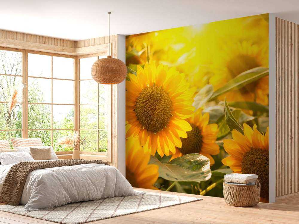 Sonnenblumen und Sonne