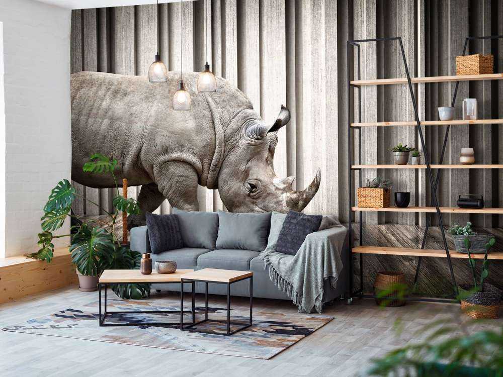 Rhinozeros im Saal