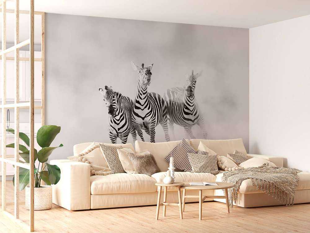 Zebras