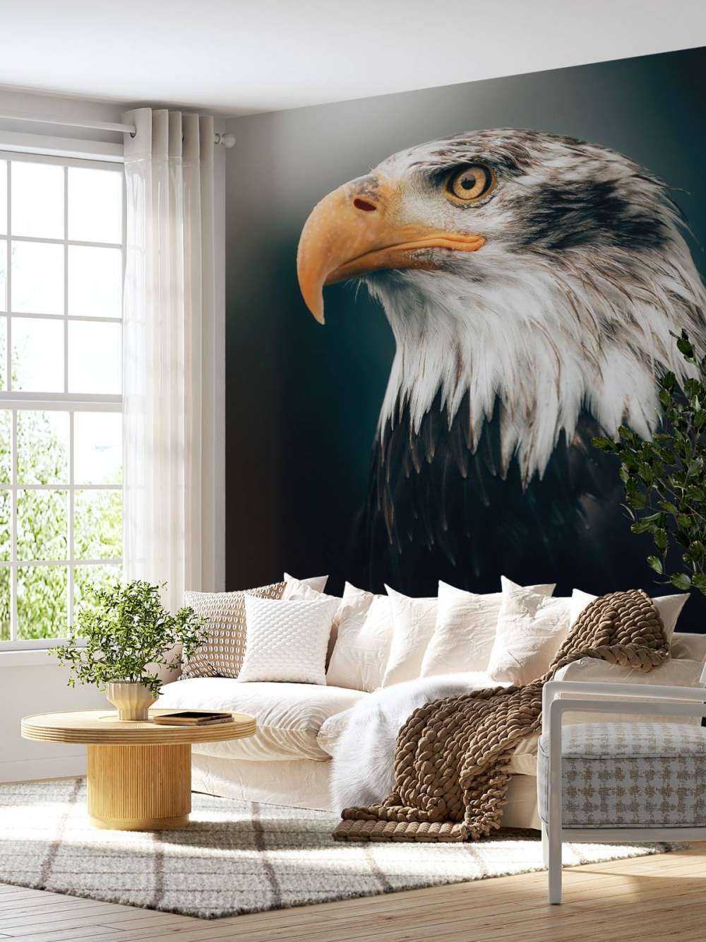 Nahaufnahme Seeadler