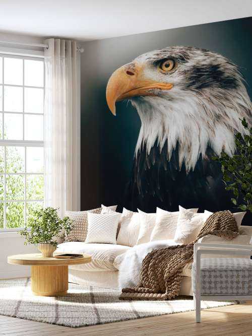 Nahaufnahme Seeadler
