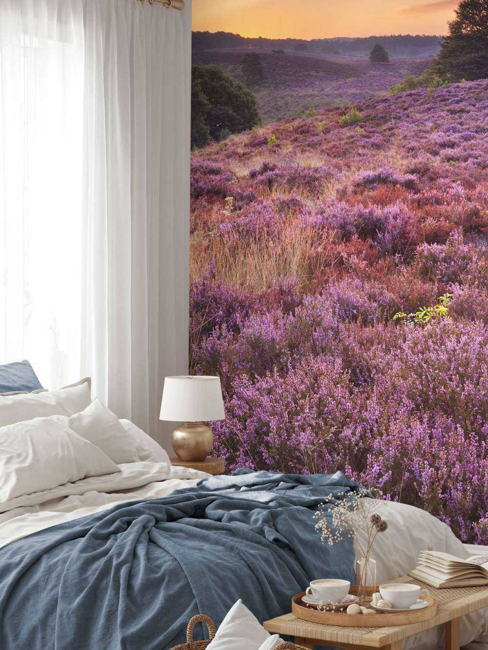 Posbank bei Sonnenuntergang