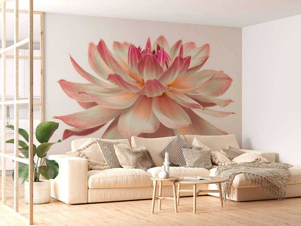 Dahlienblüte