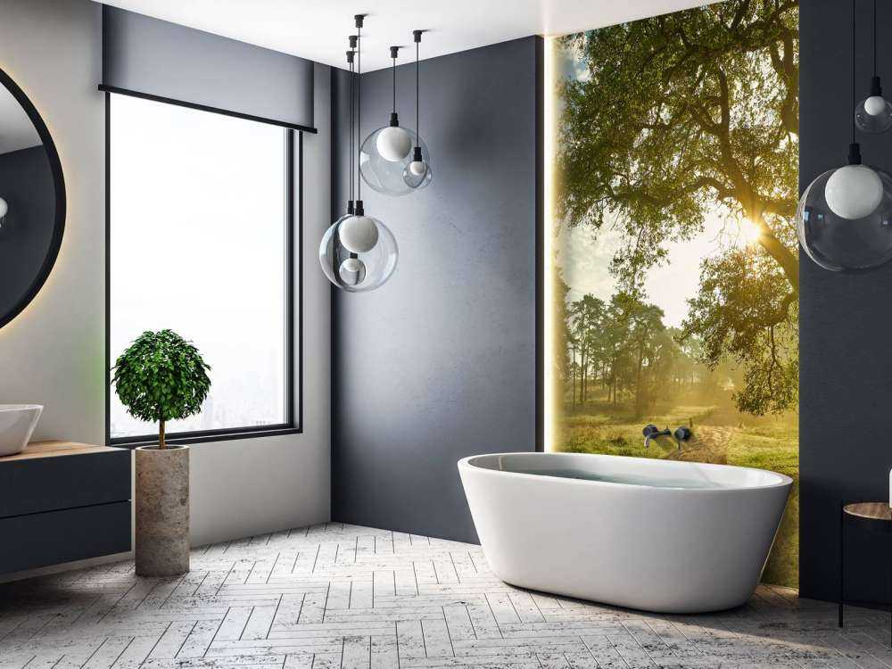 Sonnenaufgang Wald