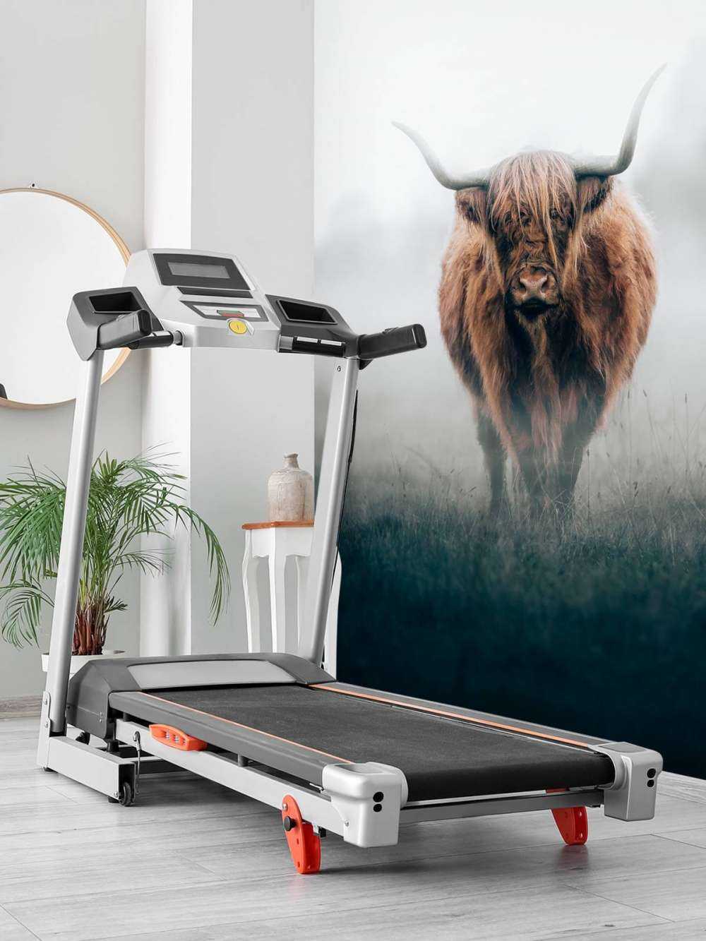 Schottischer Hochländer im dichten Nebel