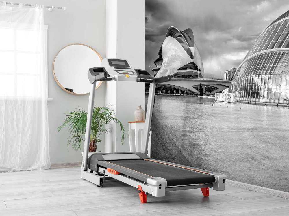 Opernhaus - Palau de les arts Reina Sofia & Hemisfèric - Valencia