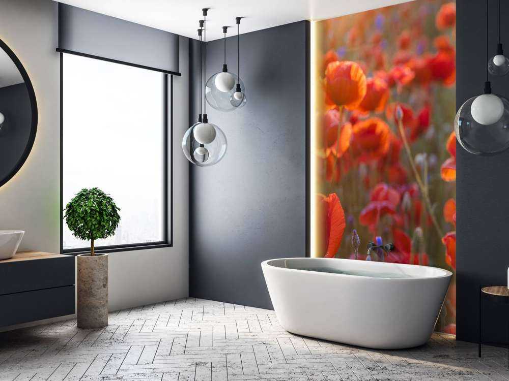 Mohn und Kornblumen