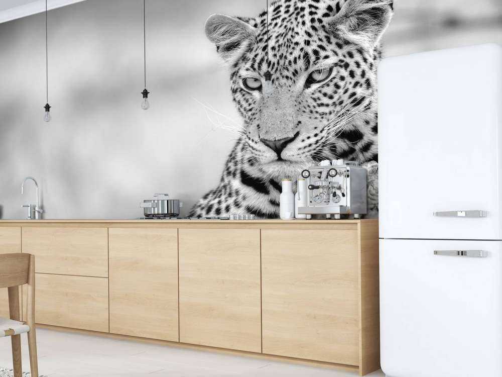 Leopard schwarz, weiß