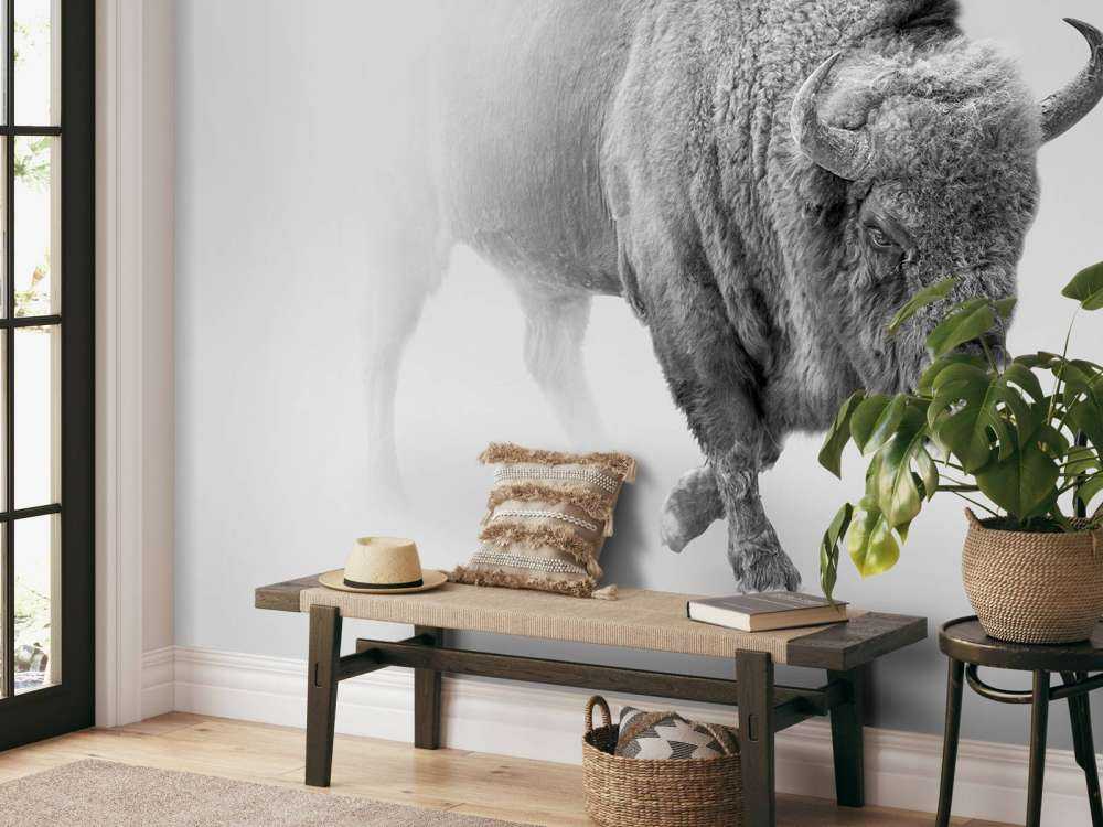 Bison schwarz, weiß