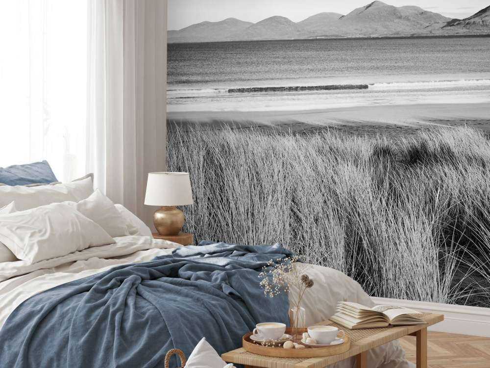 Helmgras, Strand und Berge