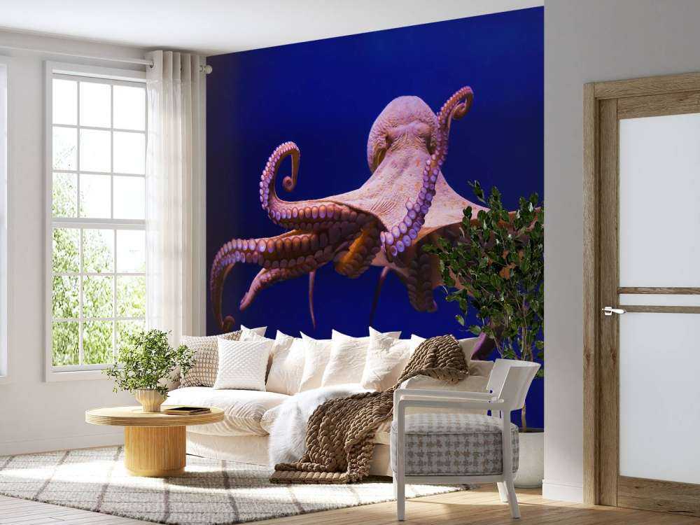 Oktopus
