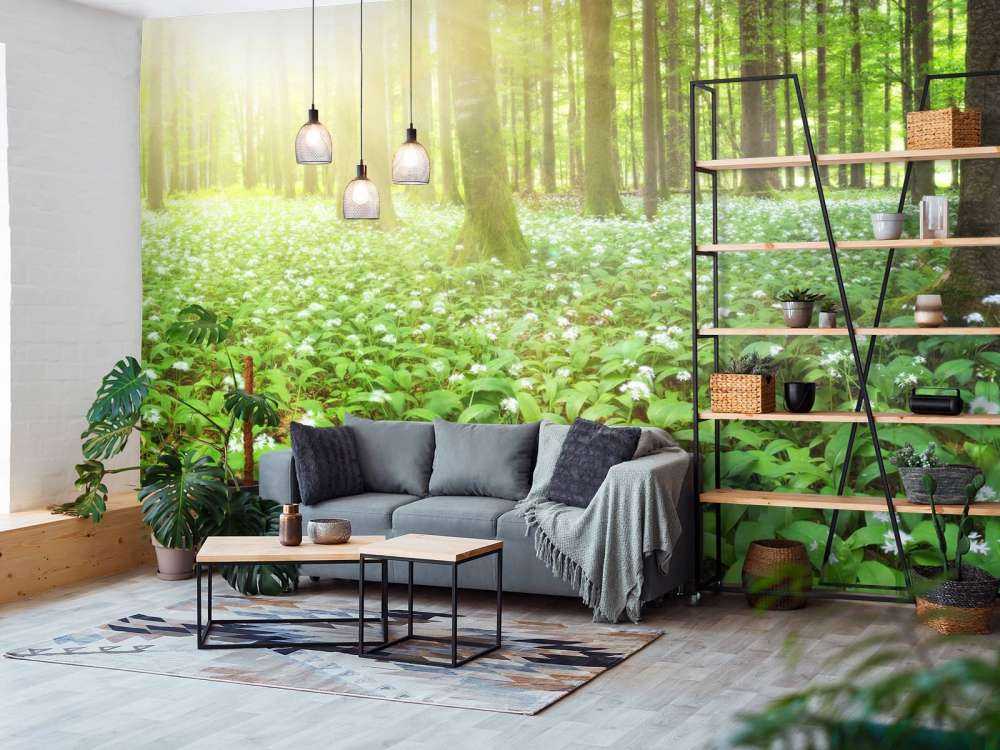 Wilder Wald mit Sonnenaufgang