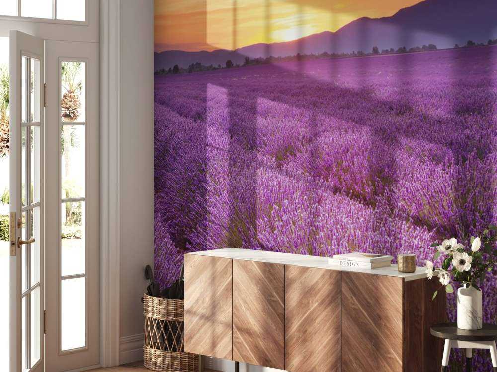Feld voller Lavendel