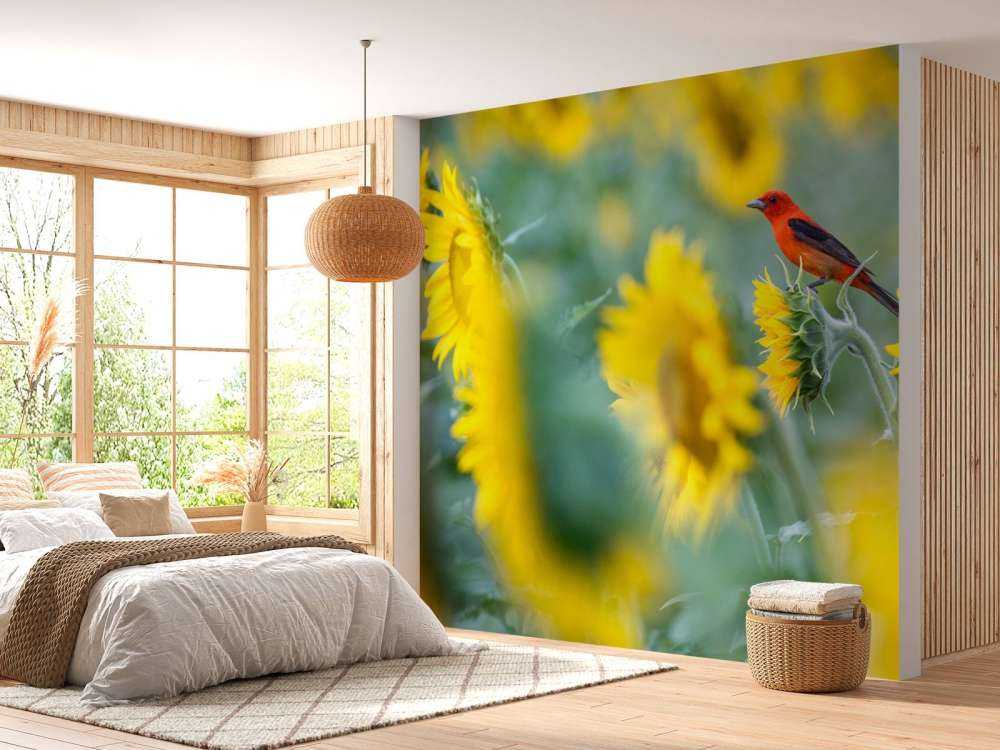 Sonnenblumenfeld mit rotem Vogel