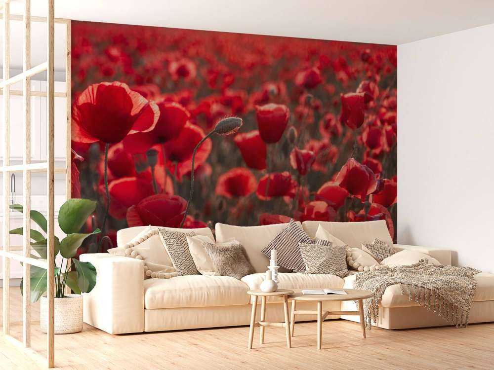 Mohnblumen im dunklen Stil