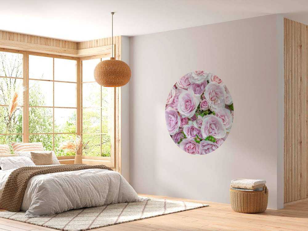 Bunte weiße und rosa Rosen