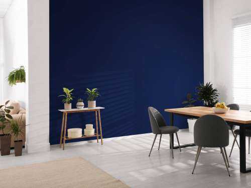 Yankees blau
