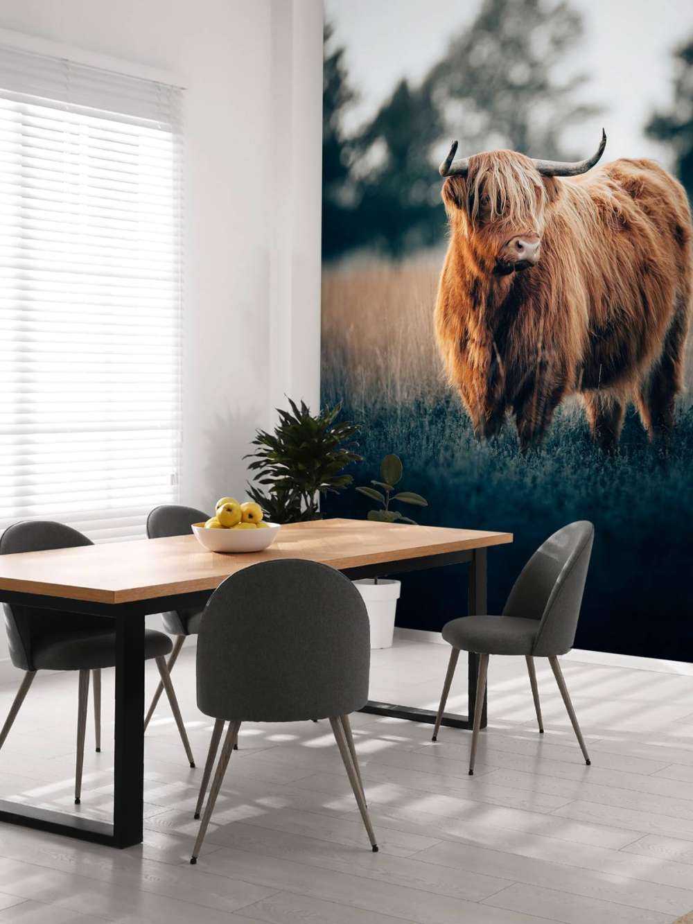 Porträt von Highlandern